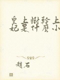 皇上树干上太子妃是什么小说