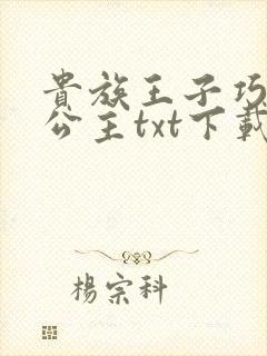 贵族王子巧遇穷公主txt下载