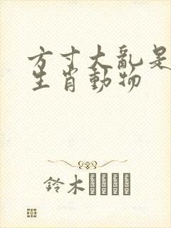 方寸大乱是什么生肖动物