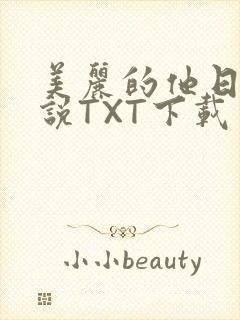 美丽的他日剧小说TXT下载
