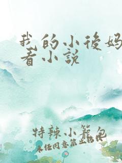 我的小后妈免费看小说