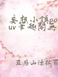 妄想小镇popuv笔趣阁无广告