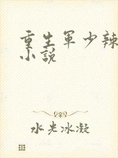 重生军少辣娇妻小说