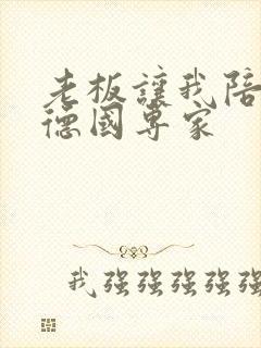 老板让我陪两个德国专家