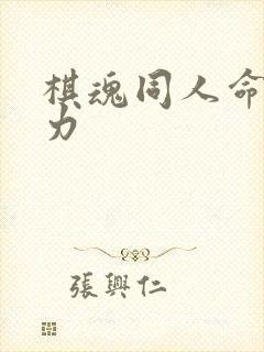 棋魂同人命运之力