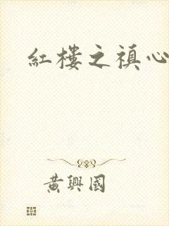 红楼之禛心锁玉