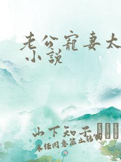 老公宠妻太甜蜜 小说