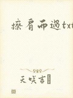 擦肩而过txt