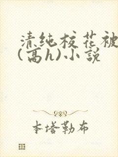 清纯校花被调教(高h)小说