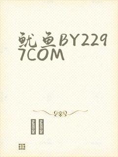 鱿鱼BY2297COM
