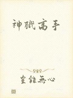 神职高手