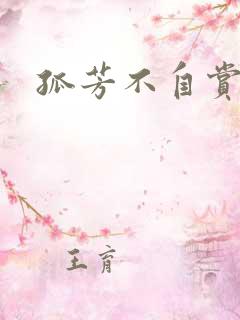 孤芳不自赏小说