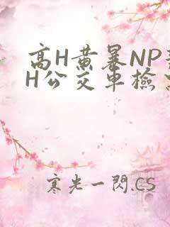 高H黄暴NP辣H公交车检票员