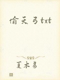 偷天弓txt