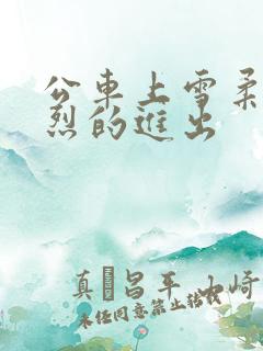 公车上雪柔被猛烈的进出