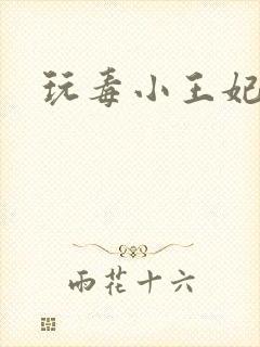 玩毒小王妃