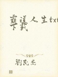 霸道人生txt下载