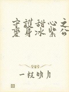 守护甜心之亚梦变身冰紫公主