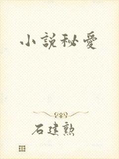 小说秘爱