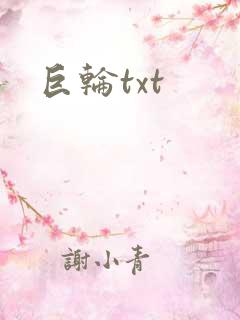 巨轮txt
