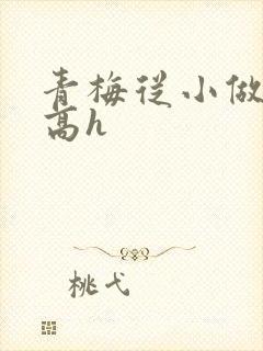 青梅从小做到大高h