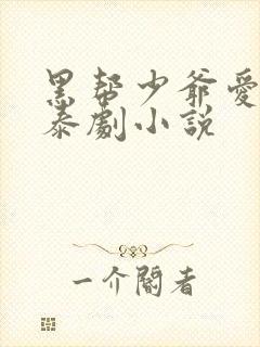 黑帮少爷爱上我泰剧小说