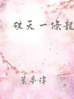 破天一条龙