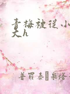 青梅被从小摸到大h