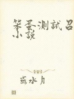 笨蛋测试召唤兽小说