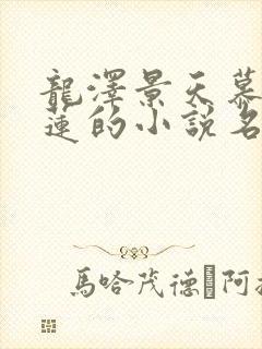 龙泽景天慕容青莲的小说名字