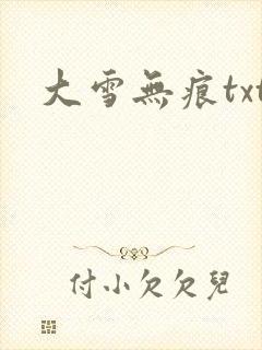 大雪无痕txt