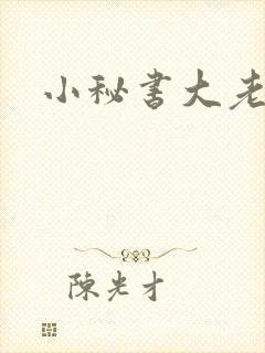 小秘书大老婆