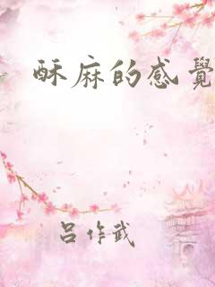 酥麻的感觉小说