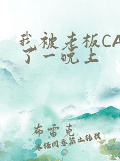 我被老板CAO了一晚上