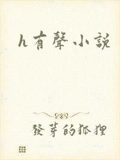 h有声小说
