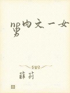 np肉文一女多男