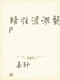 精准灌溉系统hp