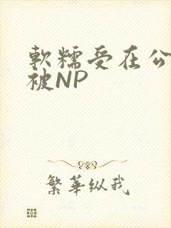 软糯受在公交车被NP