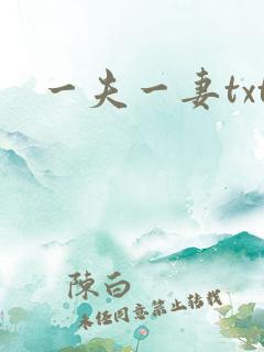 一夫一妻txt