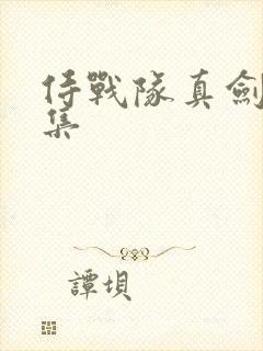 侍战队真剑者全集