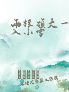 两根硕大一起挤入小雪