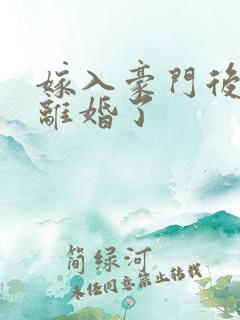 嫁入豪门后我又离婚了