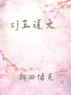 sj王道文