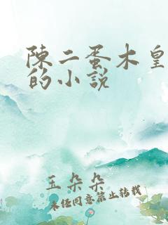 陈二蛋木皇真经的小说