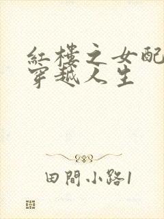 红楼之女配角的穿越人生