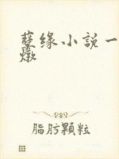 孽缘小说一家乱炖