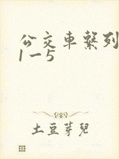 公交车系列合集1一5