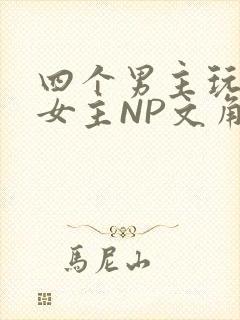 四个男主玩一个女主NP文角