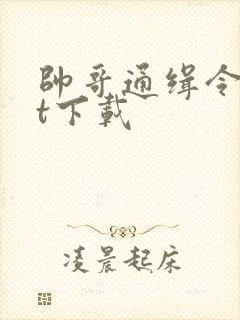 帅哥通缉令txt下载