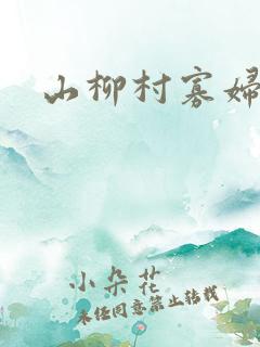 山柳村寡妇情史